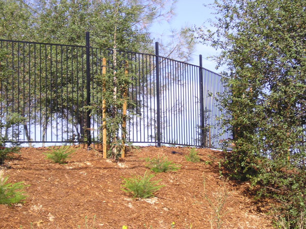 Simple Wrought Iron Fence Sacramento